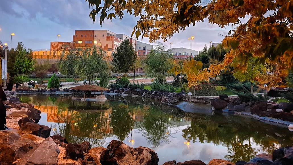 University of Kurdistan