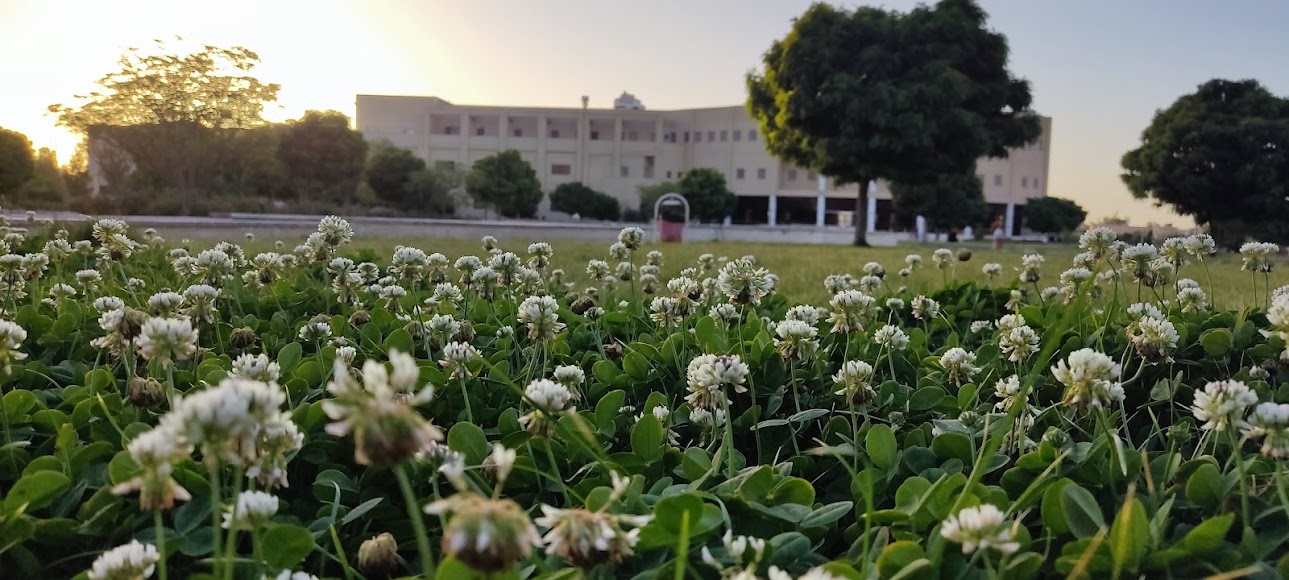 Vali-e-Asr University of Rafsanjan