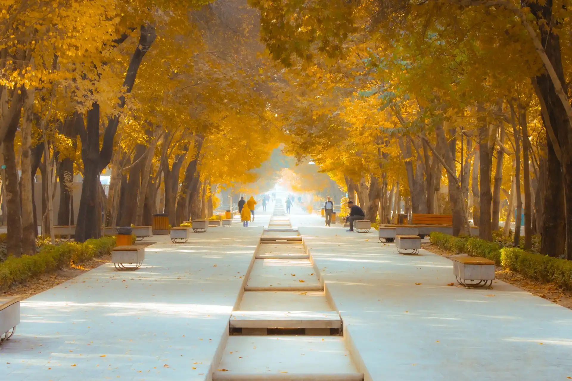 Isfahan University of Technology — one of Iran's premier engineering institutions